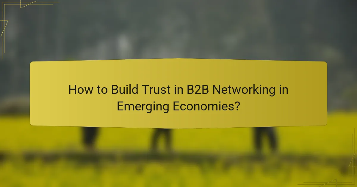 How to Build Trust in B2B Networking in Emerging Economies?