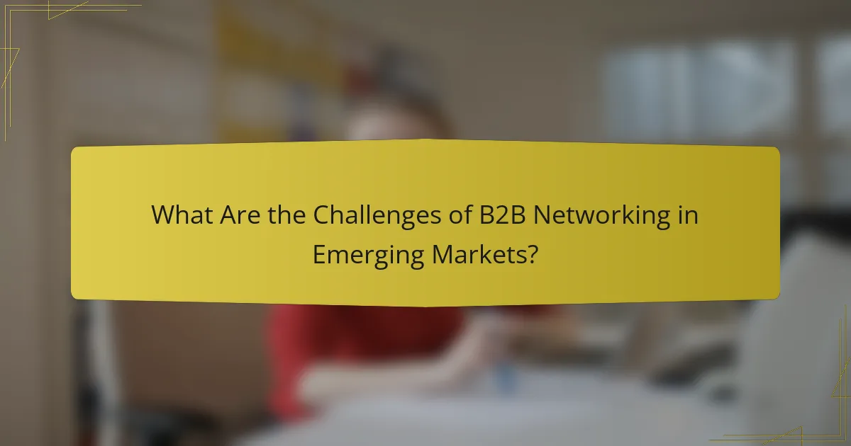 What Are the Challenges of B2B Networking in Emerging Markets?
