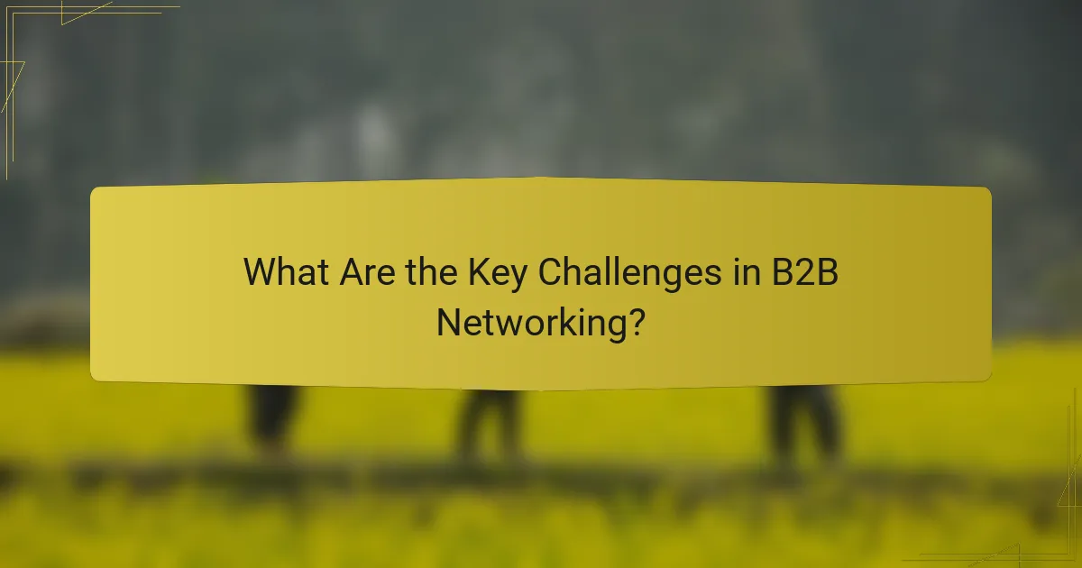 What Are the Key Challenges in B2B Networking?