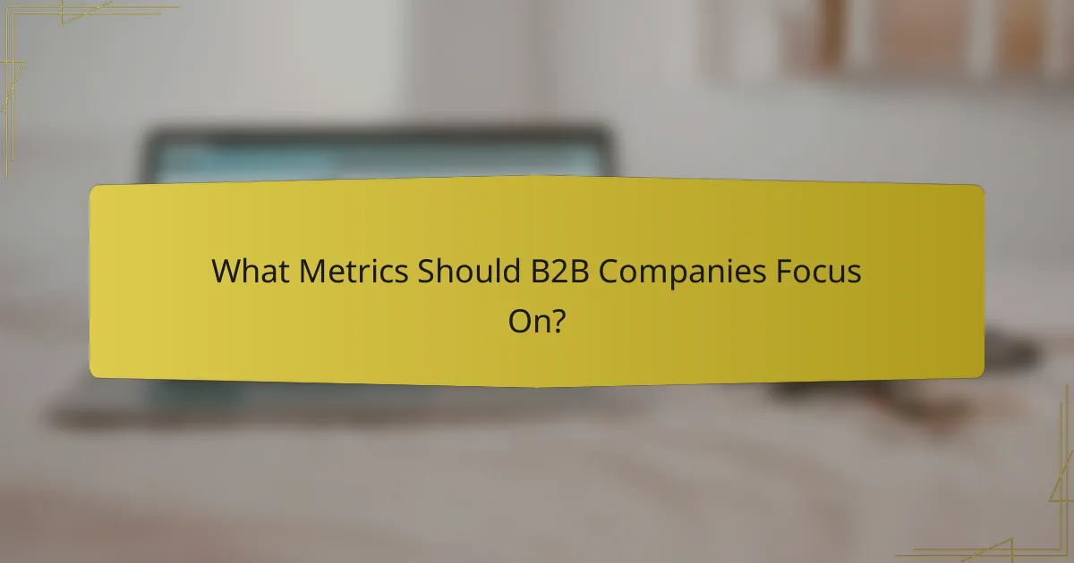 What Metrics Should B2B Companies Focus On?